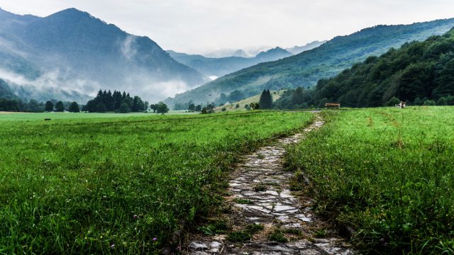 a pathway